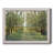 " Forest Path "-1317107782