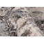 Colegrove Shaggy Grey Rug-61926772