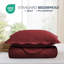 Ensemble de couvre-lit matelassé à motif floral - Doux literie en microfibre légère avec taies décoratives réversibles-119462781-116864836