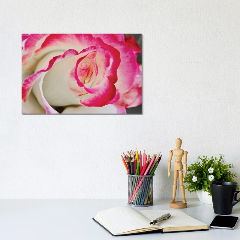 Swirled Rose Close Up by Susan Vizvary - Wrapped Canvas Print, 20.32 cm H x 30.48 cm W