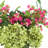 Hydrangeas and Buds in Glass Vase