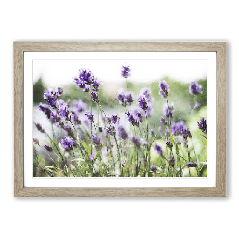 Lavender Vol.1 - Picture Frame Painting, 27cm H x 36cm W x 2cm D, Oak Framed