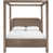 Velours taupe