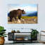 Crowle Mountain Bear-111960595