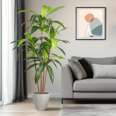 Pots ronds artificiels en résine et arbre Dracaena