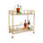 Craner Metal and Glass Two-Tier Bar Cart with Decorative Frame and Rolling Casters for Stylish Serving and Storage