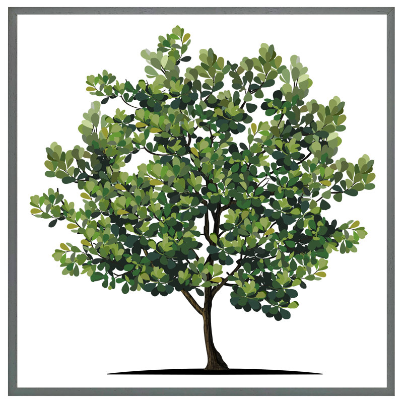 Evaro Tree - Single Picture Frame Print, 76cm H x 76cm W x 4cm D, Grey Framed
