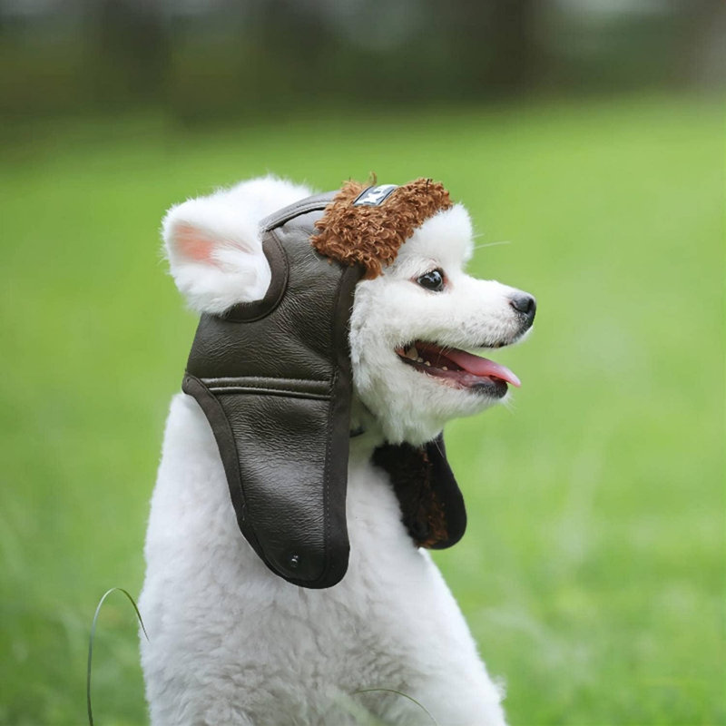 Chapeau d'aviateur pour chien avec cache-oreilles, 18,9 pouces, Brun