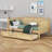 Traditional Rattan Daybed with Storage Drawers-799102212