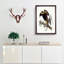 Black-Breasted Buzzard by Elizabeth Gould - Picture Frame Art Print on MDF-55512348-55512349