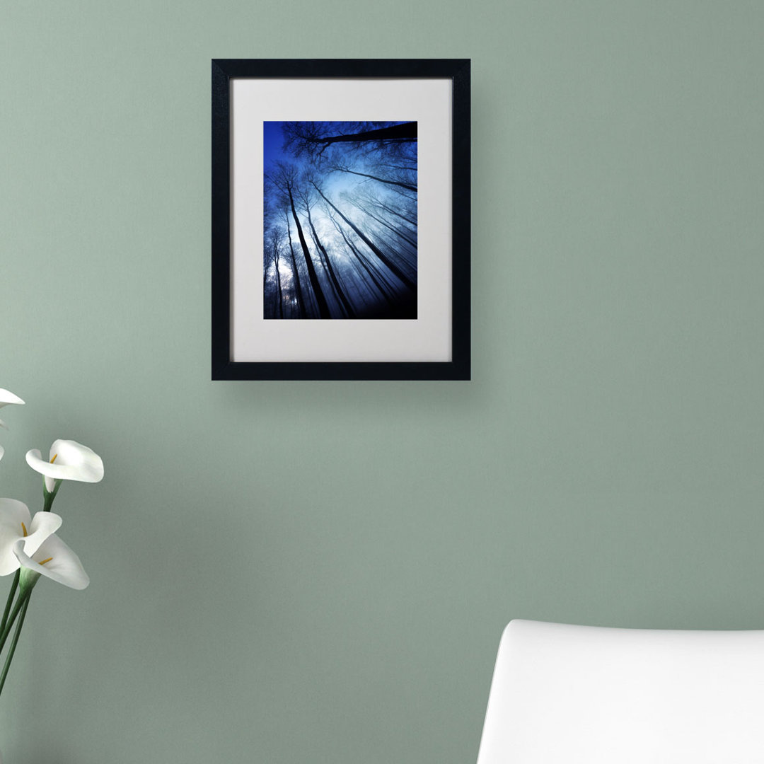 'Blue Forest' by Philippe Sainte-Laudy Framed Photographic Print Millwood Pines Frame 
