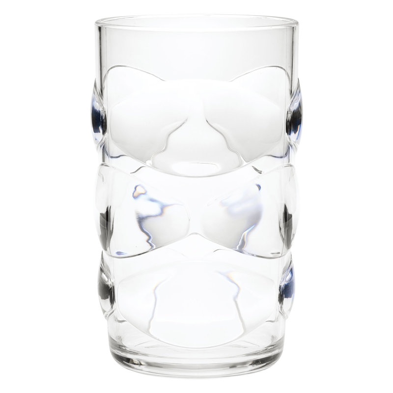 Ishan 19 oz. Acrylic Drinking Glass Set