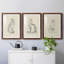House Cat I - ensemble de 3 reproductions de cadres photo-1915094756-1915094757