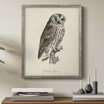 «French Owls III», reproduction encadrée - bois massif