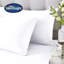 Silentnight Soft Cotton Rich Pillowcase Pair-41492726