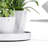 Pot Planter-2068163096