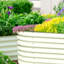 Lit de jardin surélevé Roede-875377150-929403029