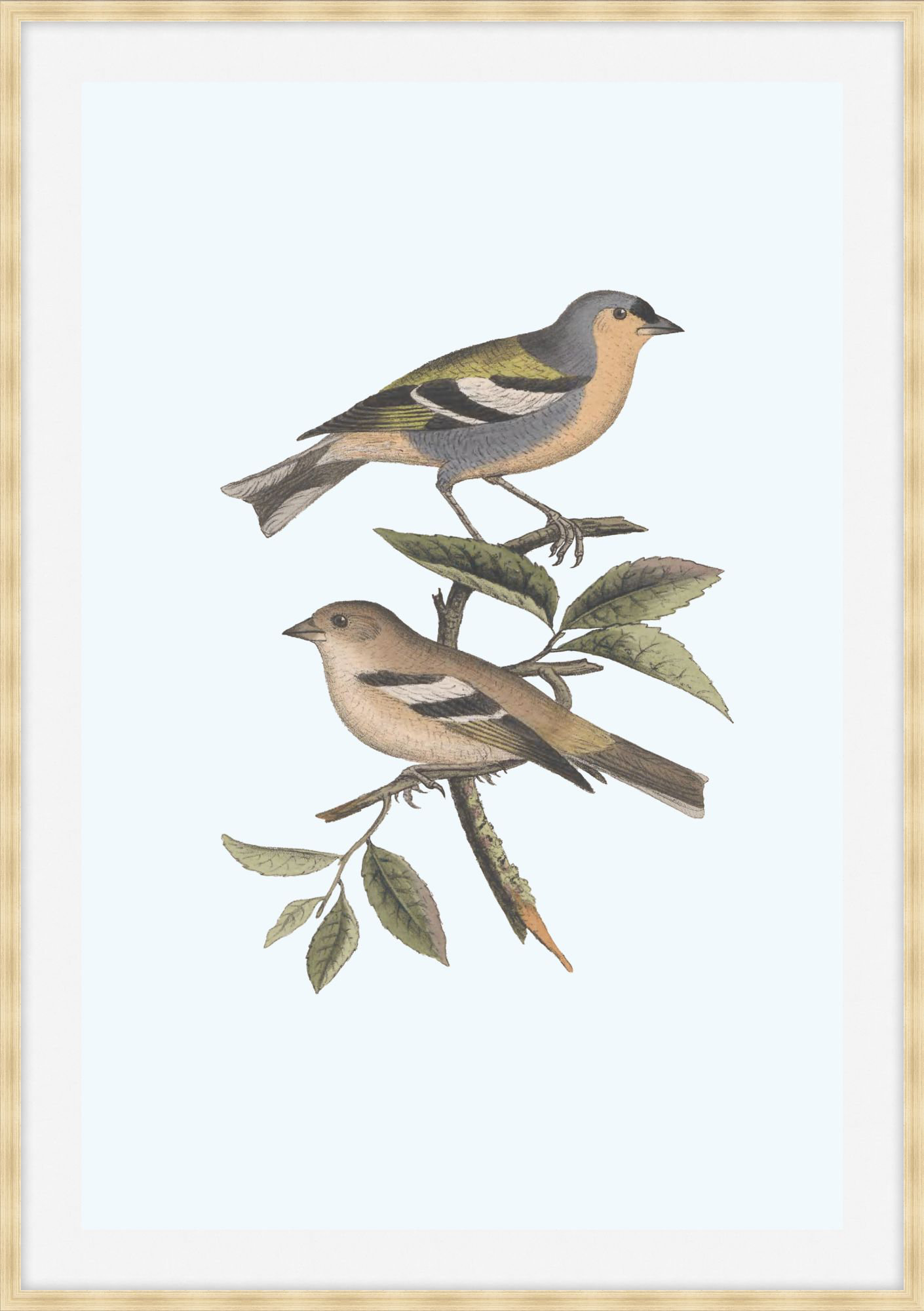 Art House Studios Nesting Navigators Blue 3 Framed Art Print | Perigold