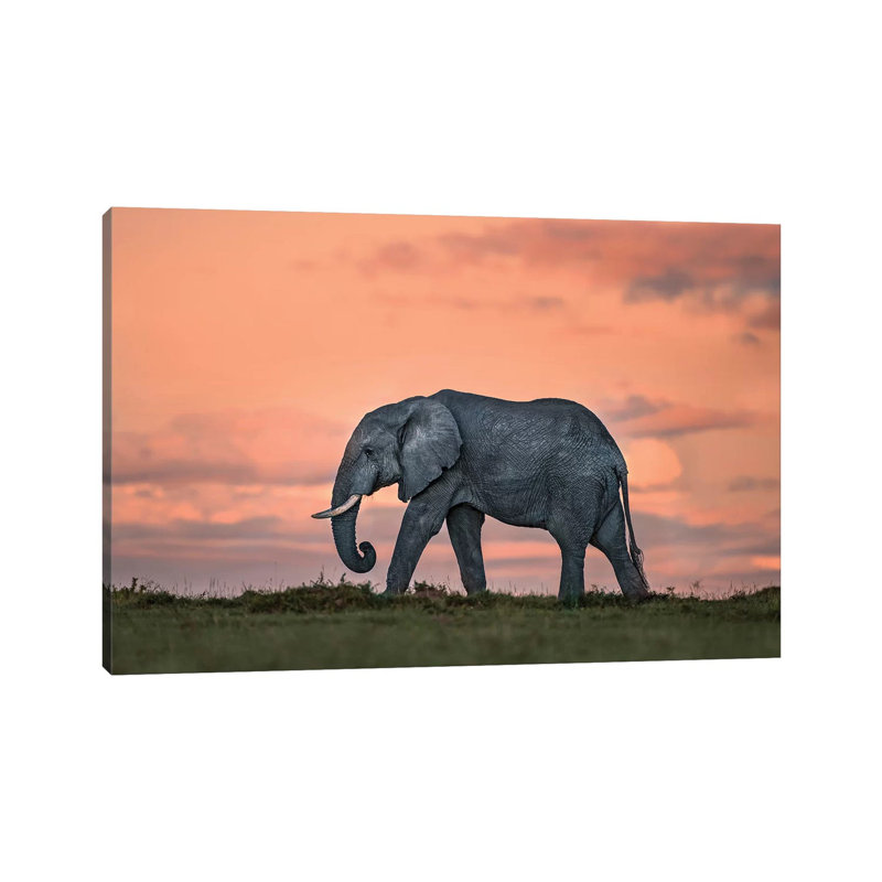 Elephant At Dusk by Xavier Ortega - Wrapped Canvas Gallery-Wrapped Canvas Giclée, 30.48 cm H x 45.72 cm W