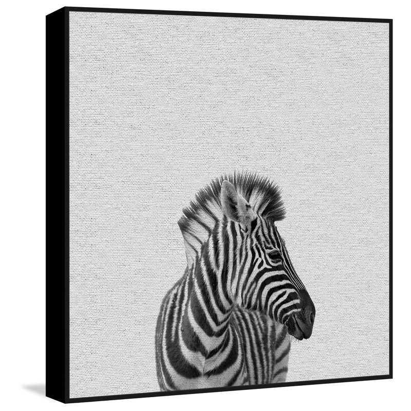 Black And White Zebra - Floater Frame Print on Canvas, 51 cm H x 51 cm W x 4 cm D