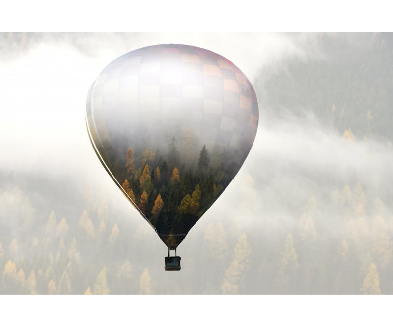 Wrapped Canvas Print, 50.8 cm H x 76.2 cm W