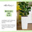 Cubico Planter-16493080-16493085