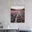 Lavender Fields Forever Print-49510722