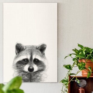 Raccoon Framed Original Drawing