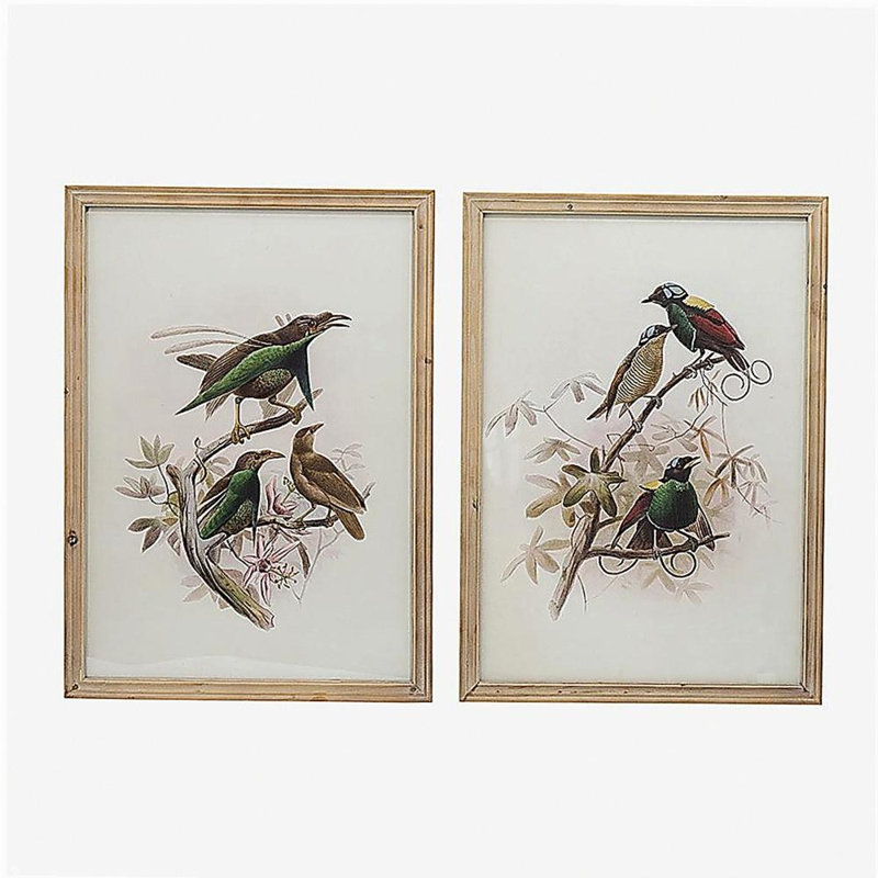 S/2 Bird Framed Print, 19.5x27.5"