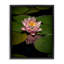 Cadre flottant rose lotus parmi des nénuphars, design par Phillip Flowers-1664758261-1664758260
