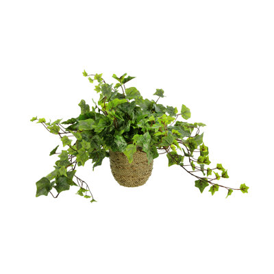 Nunn Faux Ivy Plant in Fiberstone Pot