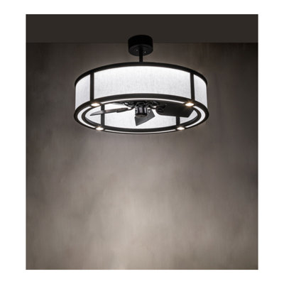 Dannae 30'' Ceiling Fan with LED Lights