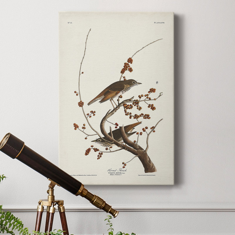 Pl. Toile tendue avec châssis 58 Hermit Thrush Premium Gallery - prête à être accrochée