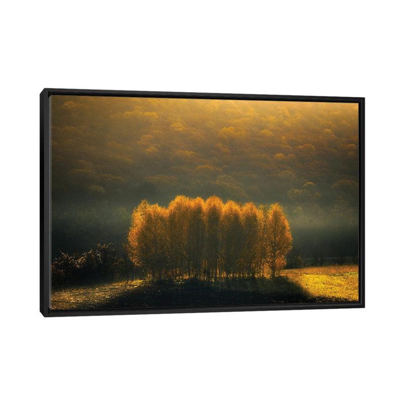 Morning Light by Anghel Rusu - Print on Canvas