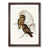Walnut Framed