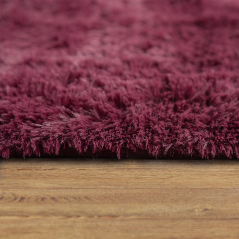 Tapis à poils longs en polyester Taraval, Rectangle 4 pi 7 po x 6 pi 7 po