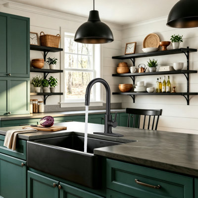 Pull Down Single Handle Kitchen Faucet With Deck Plate, Handles and Supply Lines