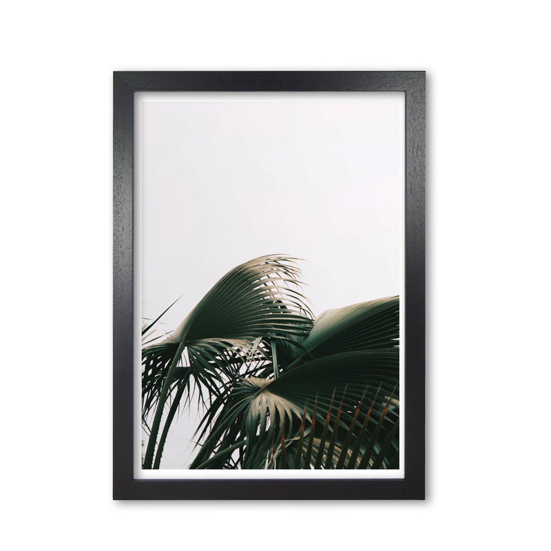 Bushy Palm Leaves - Print, Black Grain Frame, 42 cm H x 30 cm W x 5 cm D