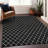 Premium Machine Washable Prisco Black Rug-2049900594