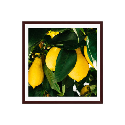 Terico "Amalfi Coast Lemons" Print