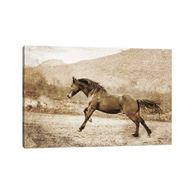 1 Piece Wrapped Canvas Wall Art