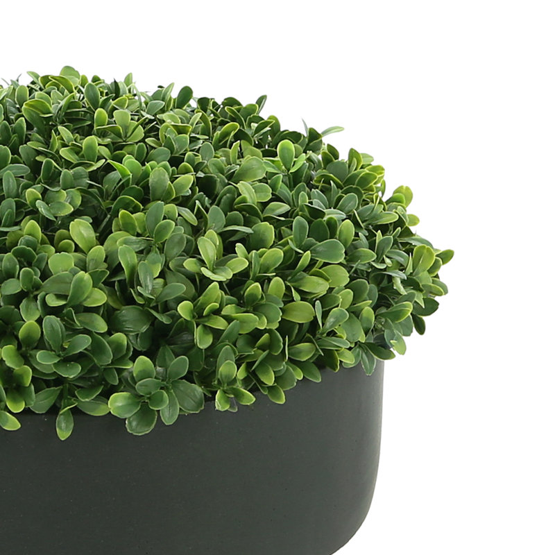 Boxwood 6" Artificial in Fiberstone Planter