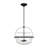 Natavius 4-Light Convertible Semi-Flush or Pendant in Matte Black-1783139596