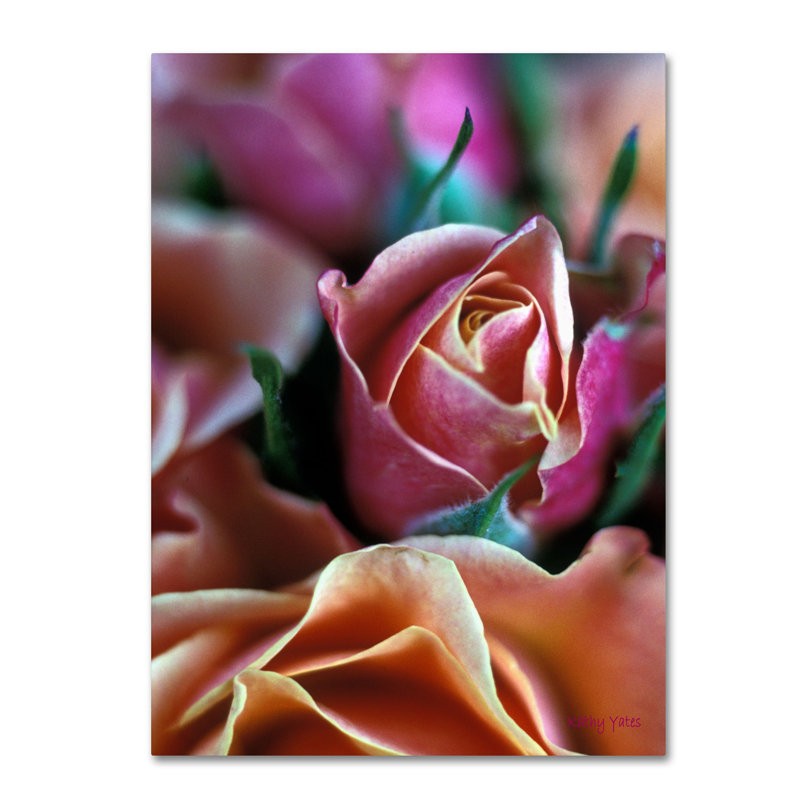 Mauve and Peach Roses Giclee Canvas Art Print