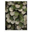 Feuilles vertes et blanches, collage sur bois naturel-354514863