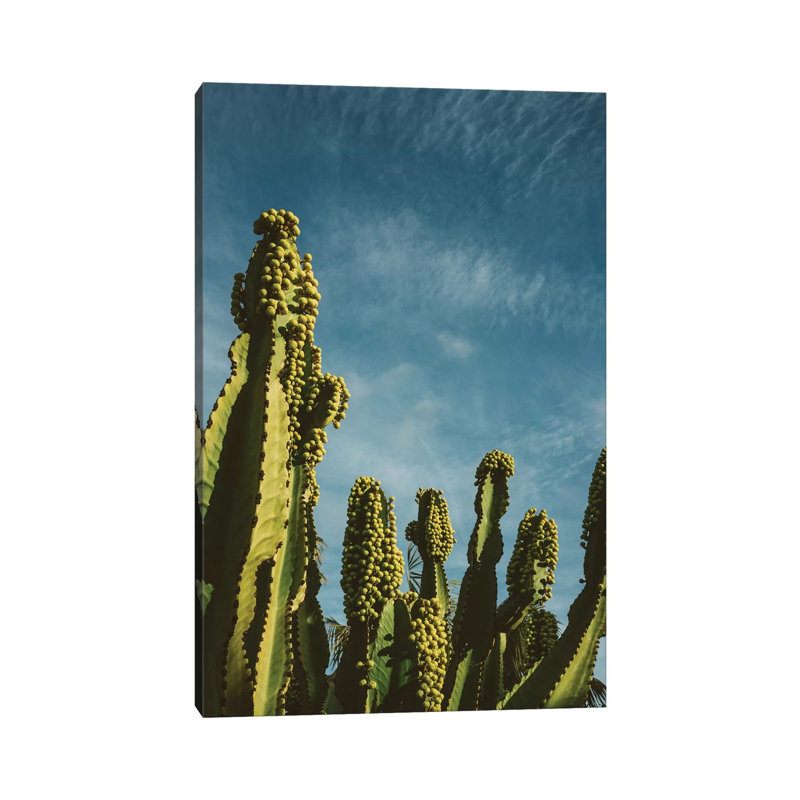 Reach For The Sky by Bethany Young - Print on Canvas, Wrapped Canvas, 66.04cm H x 45.72cm W x 1.91cm D