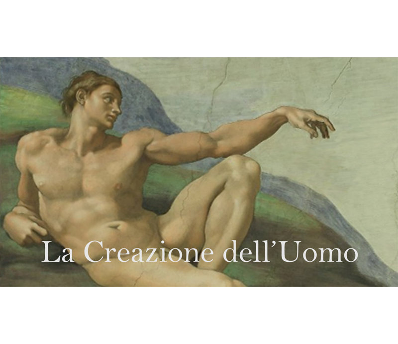 Adhésif décoratif Sim Michelangelo Adam, H 20,5 po x l 36 po