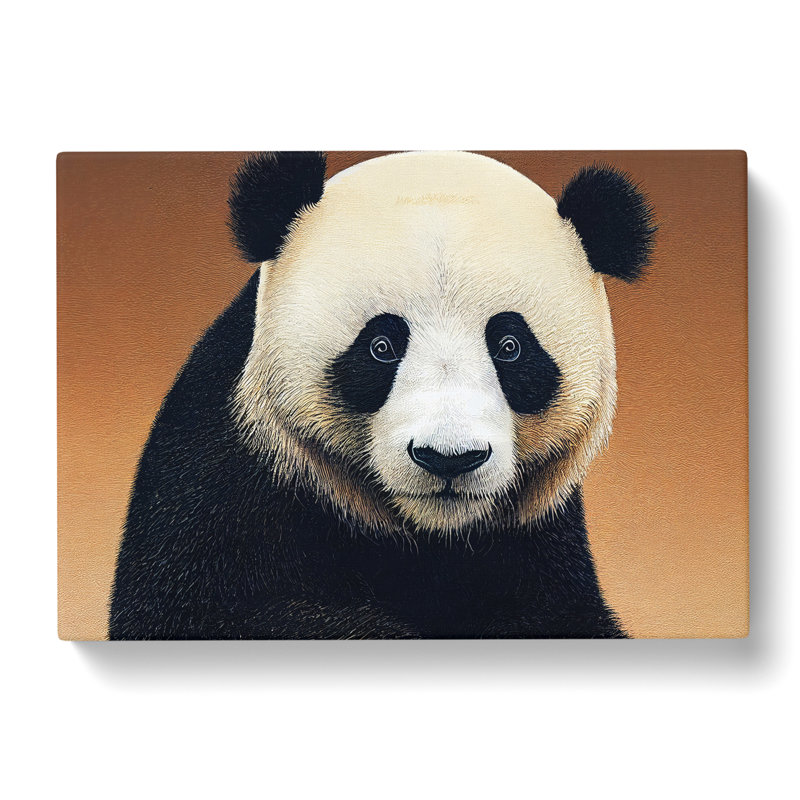 Special Panda - Wrapped Canvas, 50cm H x 76cm W x 3cm D