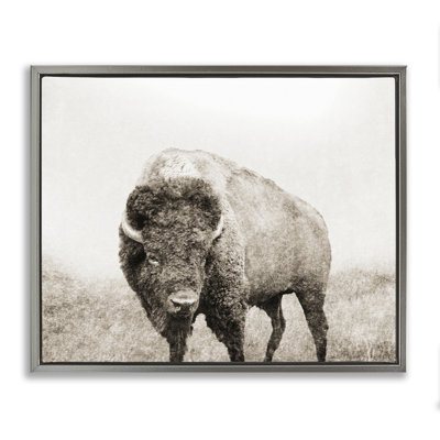 Bison Distressed Portrait  Canvas Wall Art by Dan Meneely