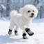 Chaussettes antidérapantes pour chien avec sangles réglables, taille L, gris-131214704